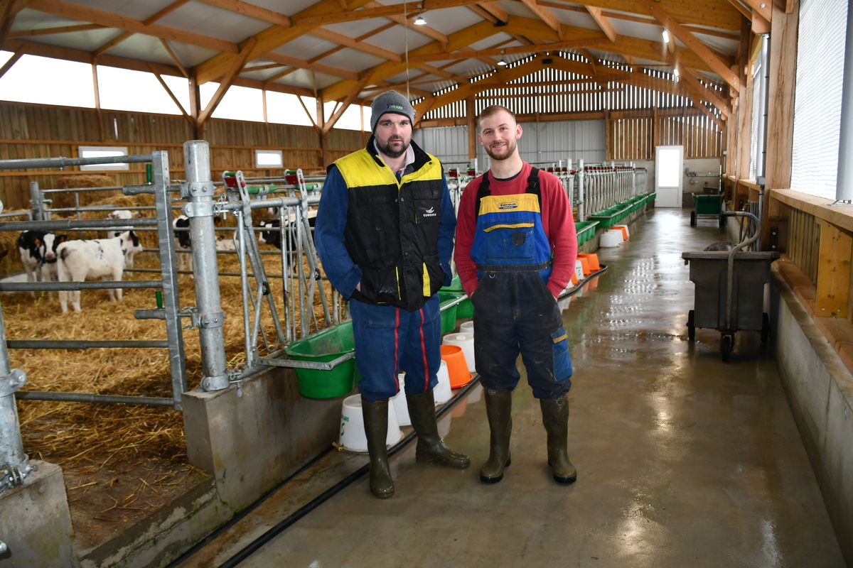 Deux éleveurs dans une nurserie bovine - Illustration La qualité de l’air en élevage trop souvent sous-estimée