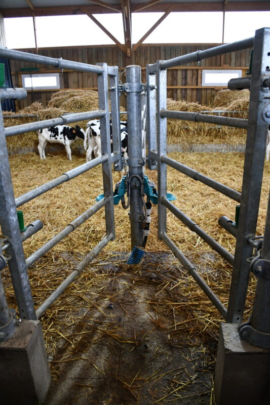 portail d'accès aux cases