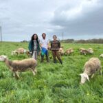 Deux jeunes femmes et un jeune homme entourés de brebis de race Lacaune dans une prairie