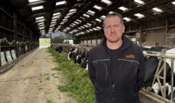 Un homme devant des vaches dans un bâtiment d'élevage