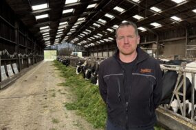 Un homme devant des vaches dans un bâtiment d'élevage