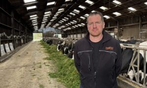 Un homme devant des vaches dans un bâtiment d'élevage