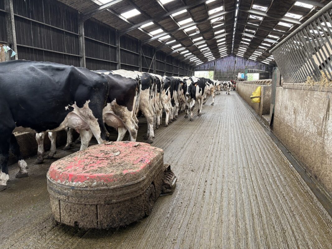 L'élevage utilise un robot aspirateur. L'exposition aux vents du bâtiment n'a pas permis de mesurer les gains ou pertes par volatilisation de ce type d'outil.