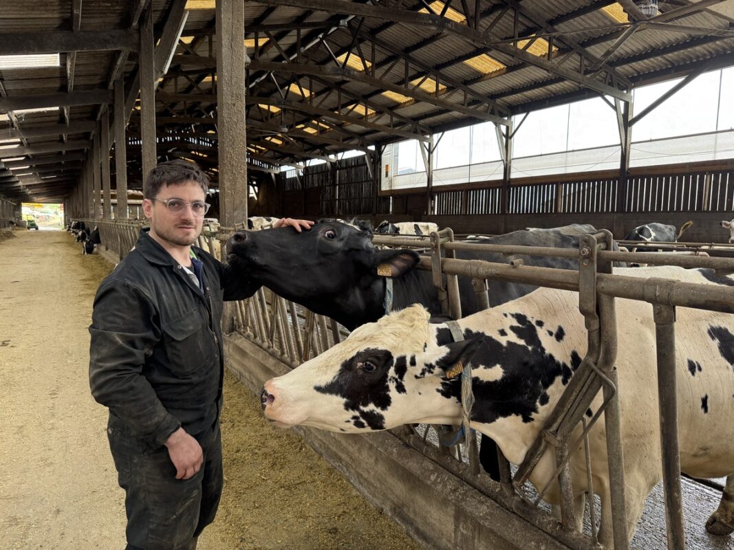 Thomas Masson et ses vaches apprécient au quotidien l'ambiance améliorée de l'étable.