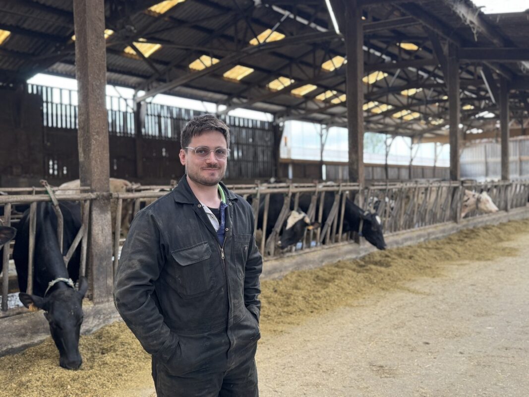 Un éleveur dans une étable de vaches de race Holstein