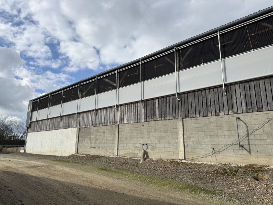 Vue de l'extérieur de l'installation de brise-vent réalisée en juin 2024.