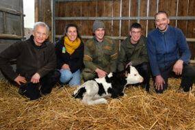 4 hommes et 1 femme souriants et accroupis dans un box paillé autour d'un veau couché