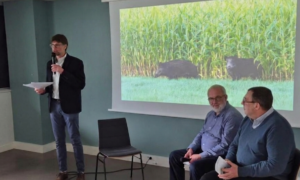 2 hommes assis sur une chaise et un 3ème debout avec un micro devant un grand écran qui projette des sangliers dans un champ de maïs
