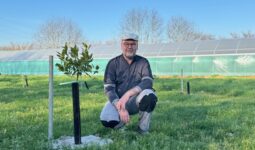 Un homme près d'un jeune plant d'agrume devant une serre tunnel au second plan