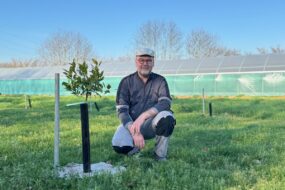 Un homme près d'un jeune plant d'agrume devant une serre tunnel au second plan