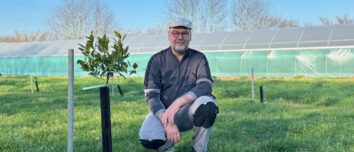 Un homme près d'un jeune plant d'agrume devant une serre tunnel au second plan