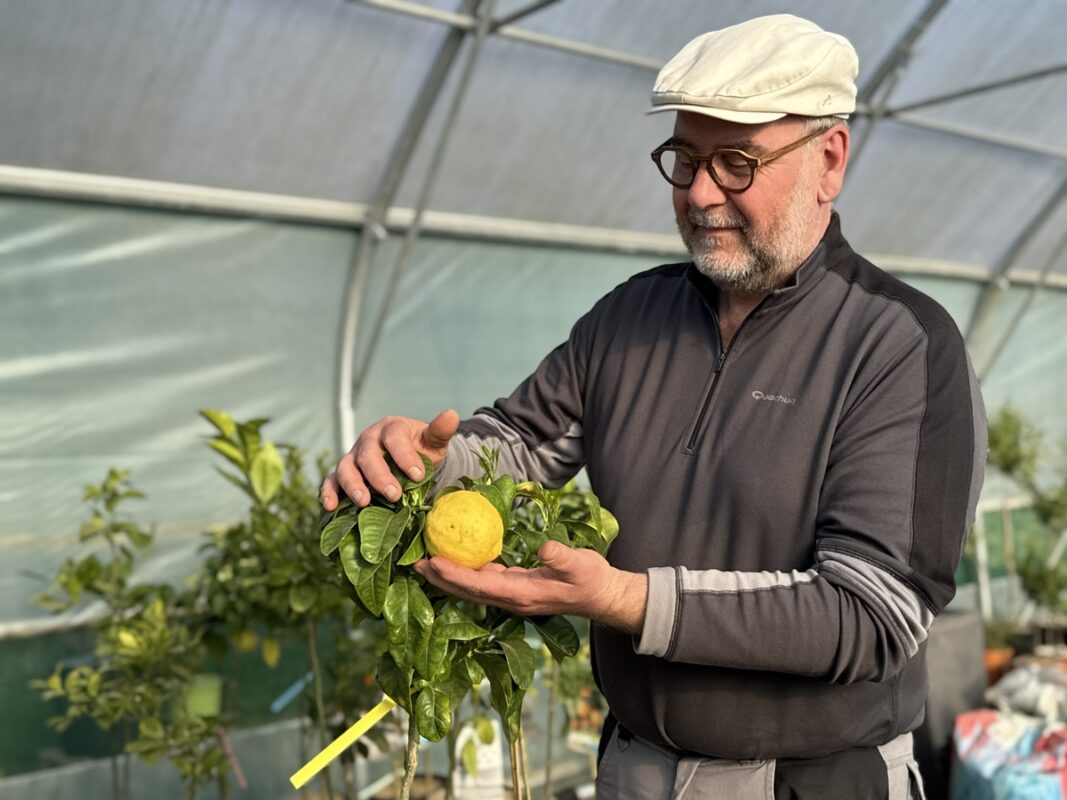 Bruno Monchâtre présente une bergamote.