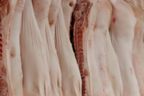 carcasses de porc suspendues dans un abattoir