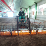 tounet en désinfection thermique photo une