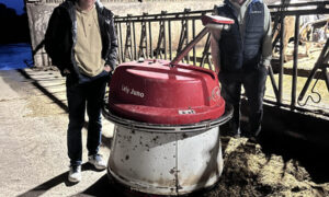 Deux hommes autour d'un robot repousse fourrage dans une stabulation bovine