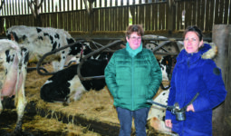 Deux éleveuses dans un bâtiment d'élevage avec des vaches en logette