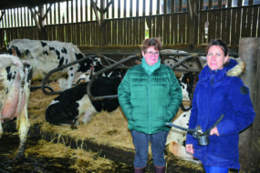Deux éleveuses dans un bâtiment d'élevage avec des vaches en logette