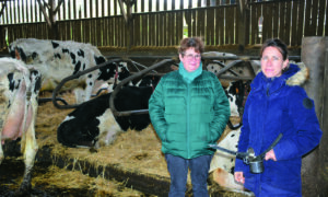 Deux éleveuses dans un bâtiment d'élevage avec des vaches en logette