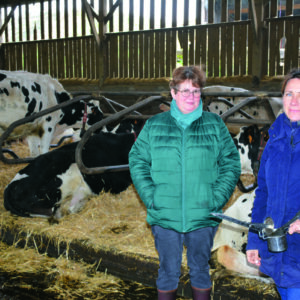 Deux éleveuses dans un bâtiment d'élevage avec des vaches en logette
