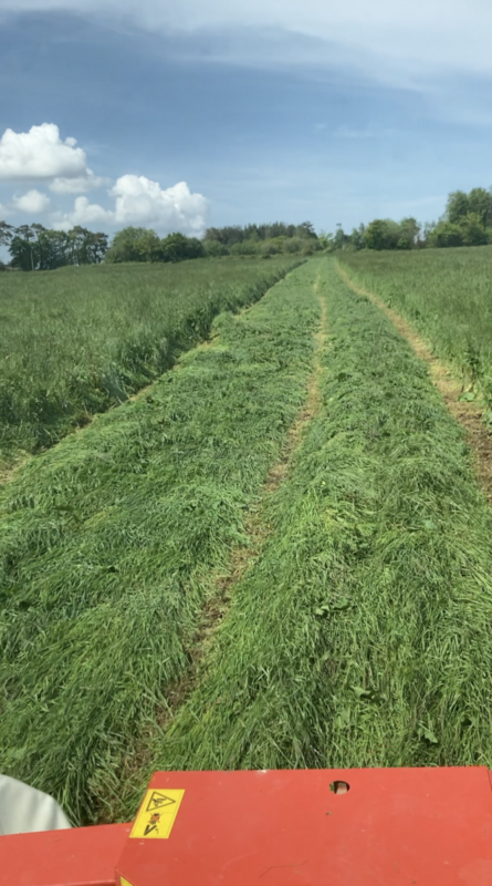 Les parcelles de fauche sont refaites tous les 5 ans pour rester productives.