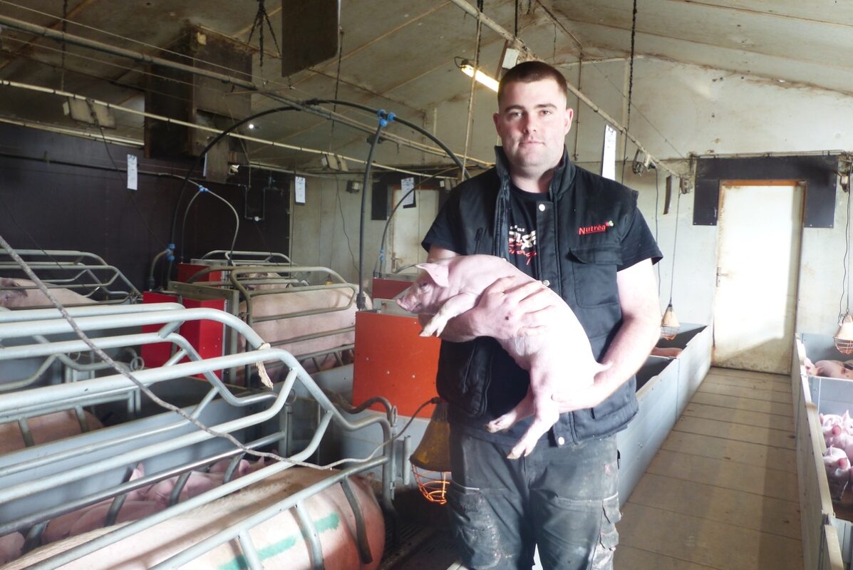 Ewen, du Gaec de Goadec, confirme : « Cela fait de jolis porcelets ».