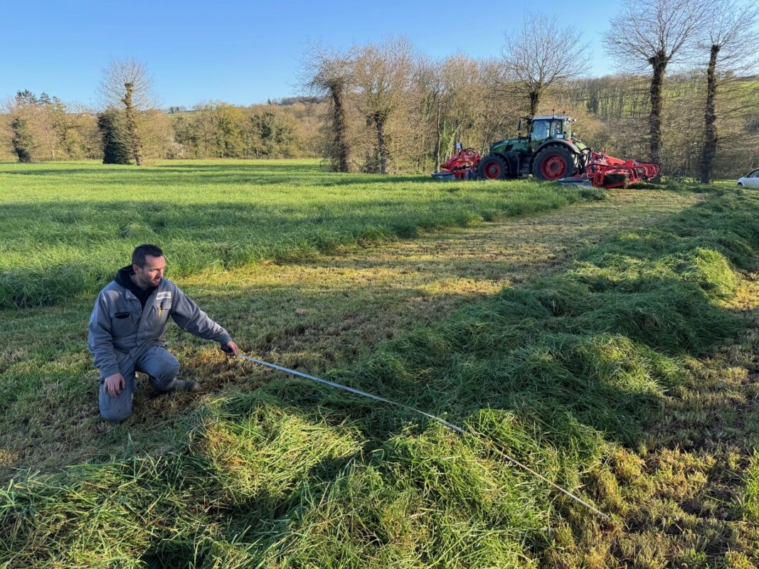 Un homme mesure la largeur d'un andain d'herbe derrière le passage du groupe de fauche