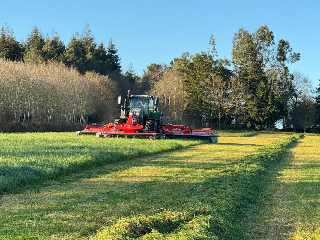Fauche et regroupement de l'herbe en un seul andain