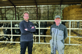 deux éleveurs devant des vaches