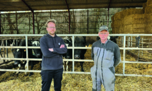 deux éleveurs devant des vaches