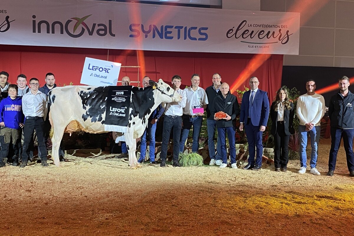 Un groupe de personnes et une vache sur un ring lors de la remise des prix d'un concours bovin - Illustration Une Championne « sans défaut »