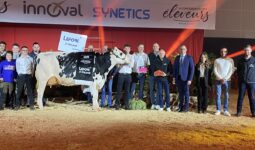 Un groupe de personnes et une vache sur un ring lors de la remise des prix d'un concours bovin