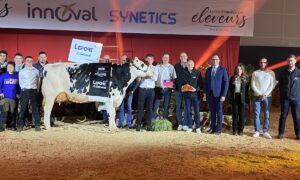 Un groupe de personnes et une vache sur un ring lors de la remise des prix d'un concours bovin