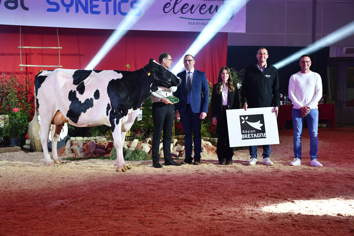 Mys Ty Hailey appartenant à Marina Durand