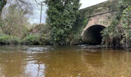 Un pont sur une rivière dans un paysage de bocage