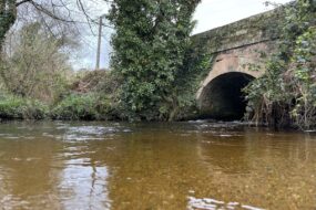 Un pont sur une rivière dans un paysage de bocage