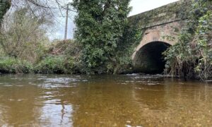 Un pont sur une rivière dans un paysage de bocage