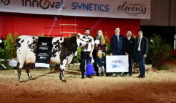 Un groupe de personnes et une vache sur un ring lors de la remise des prix d'un concours bovin