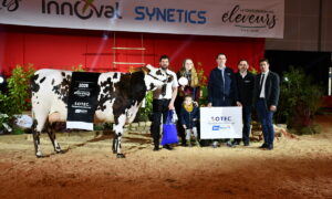 Un groupe de personnes et une vache sur un ring lors de la remise des prix d'un concours bovin
