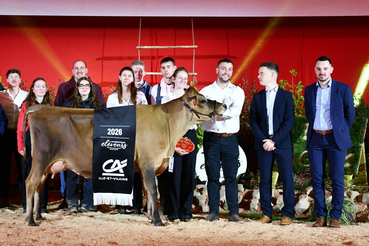 Un groupe de personnes et une vache sur un ring lors de la remise des prix d'un concours bovin - Illustration Le Gaec Karrez se démarque