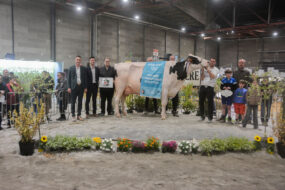 Des personnes autour d'une vache lors de la remise des prix d'un concours