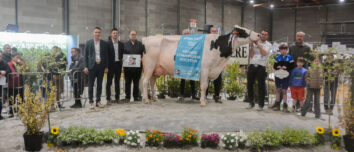 Des personnes autour d'une vache lors de la remise des prix d'un concours