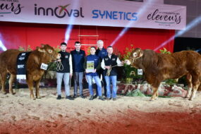 Un groupe de personnes et une génisse et un taureau sur un ring lors de la remise des prix d'un concours bovin
