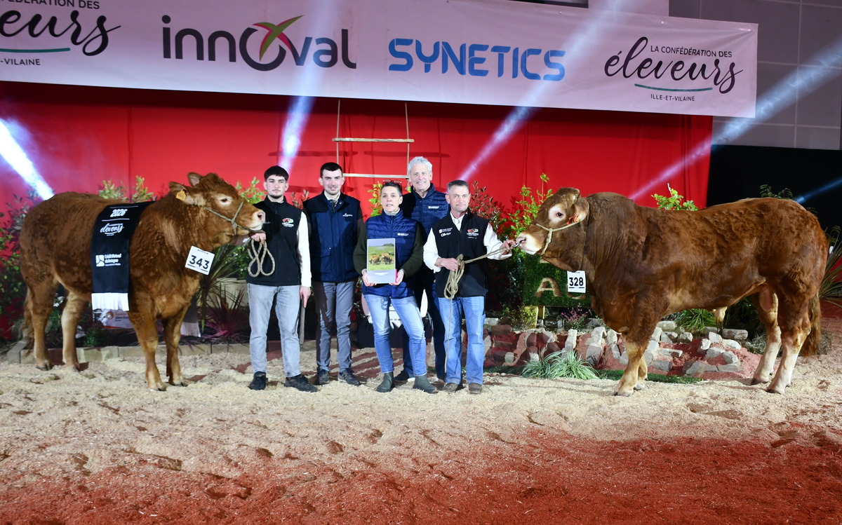 Un groupe de personnes et une génisse et un taureau sur un ring lors de la remise des prix d'un concours bovin - Illustration Un doublé pour la SCEA Quenet