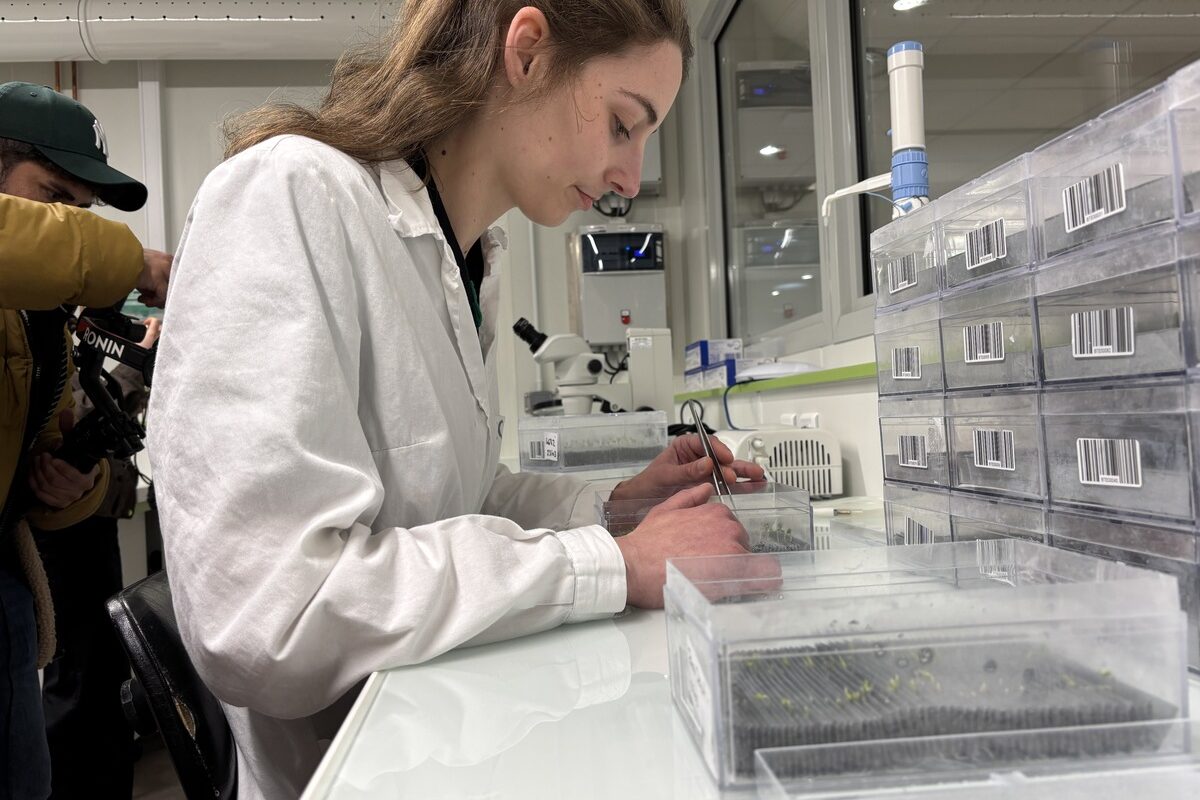 Une chercheuse assise à une table dans un laboratoire - Illustration Semer aujourd’hui les variétés de demain