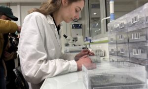 Une chercheuse assise à une table dans un laboratoire