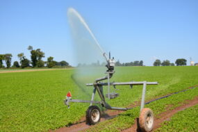 Canon d'irrigation dans une parcelle agricole de cultures