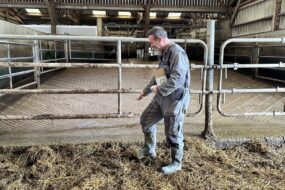 éleveur en train d'épandre des acariens sur une aire paillée