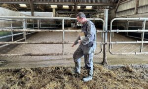 éleveur en train d'épandre des acariens sur une aire paillée