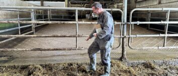 éleveur en train d'épandre des acariens sur une aire paillée