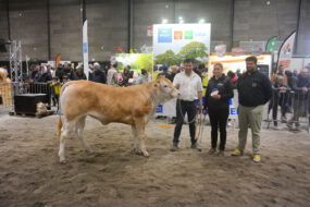 Des éleveurs et une vache blonde d'aquitaine lors de la remise des prix d"un concours